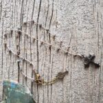 Rustic Cross Necklace